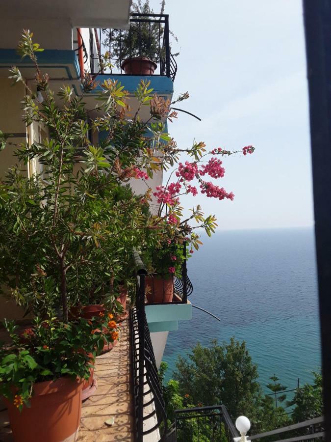 Odhisea Hotel Restaurant 체파로 외부 사진